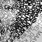 Analytical Paragraph – Spoken Language